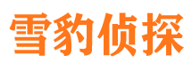 大渡口找人公司